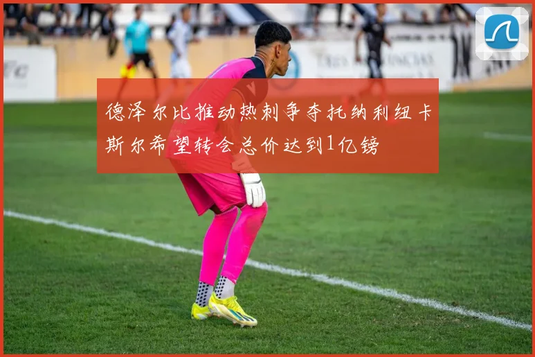 德泽尔比推动热刺争夺托纳利纽卡斯尔希望转会总价达到1亿镑