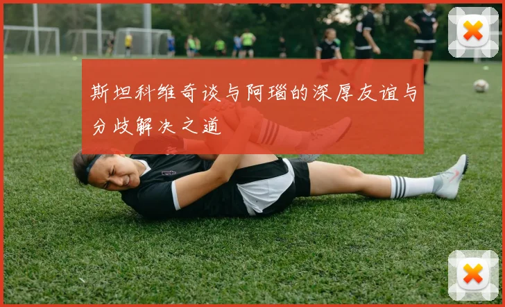 斯坦科维奇谈与阿瑙的深厚友谊与分歧解决之道