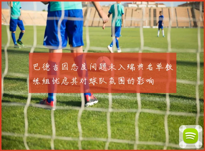 巴德吉因态度问题未入瑞典名单教练组忧虑其对球队氛围的影响